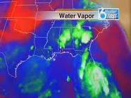 Gay weatherman scared by a roach twice during forecast